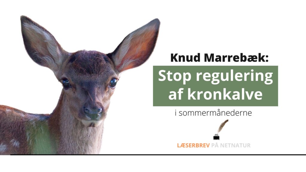 Modstand mod regulering af kronkalve