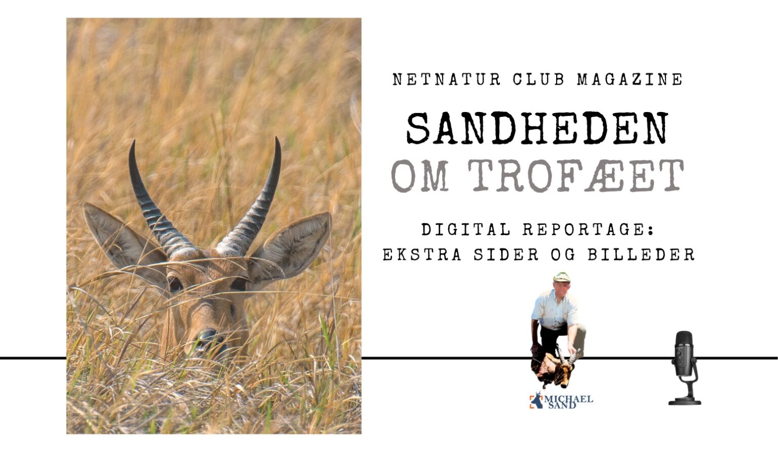 Reedbuck Reedbuck