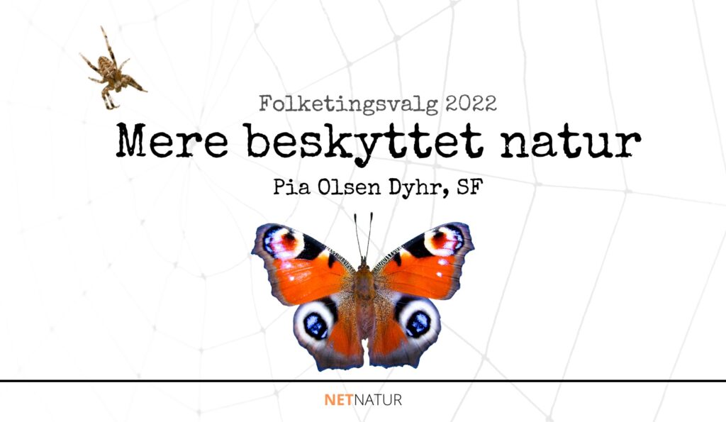 Pia Olsen Dyhr natur