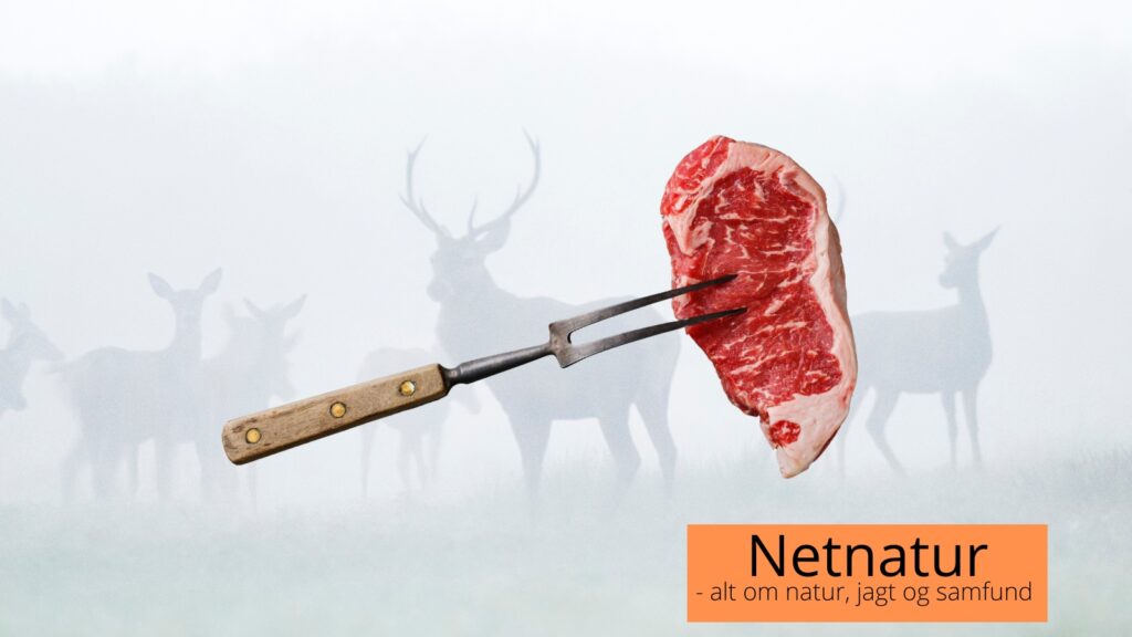 vildtkød og co2