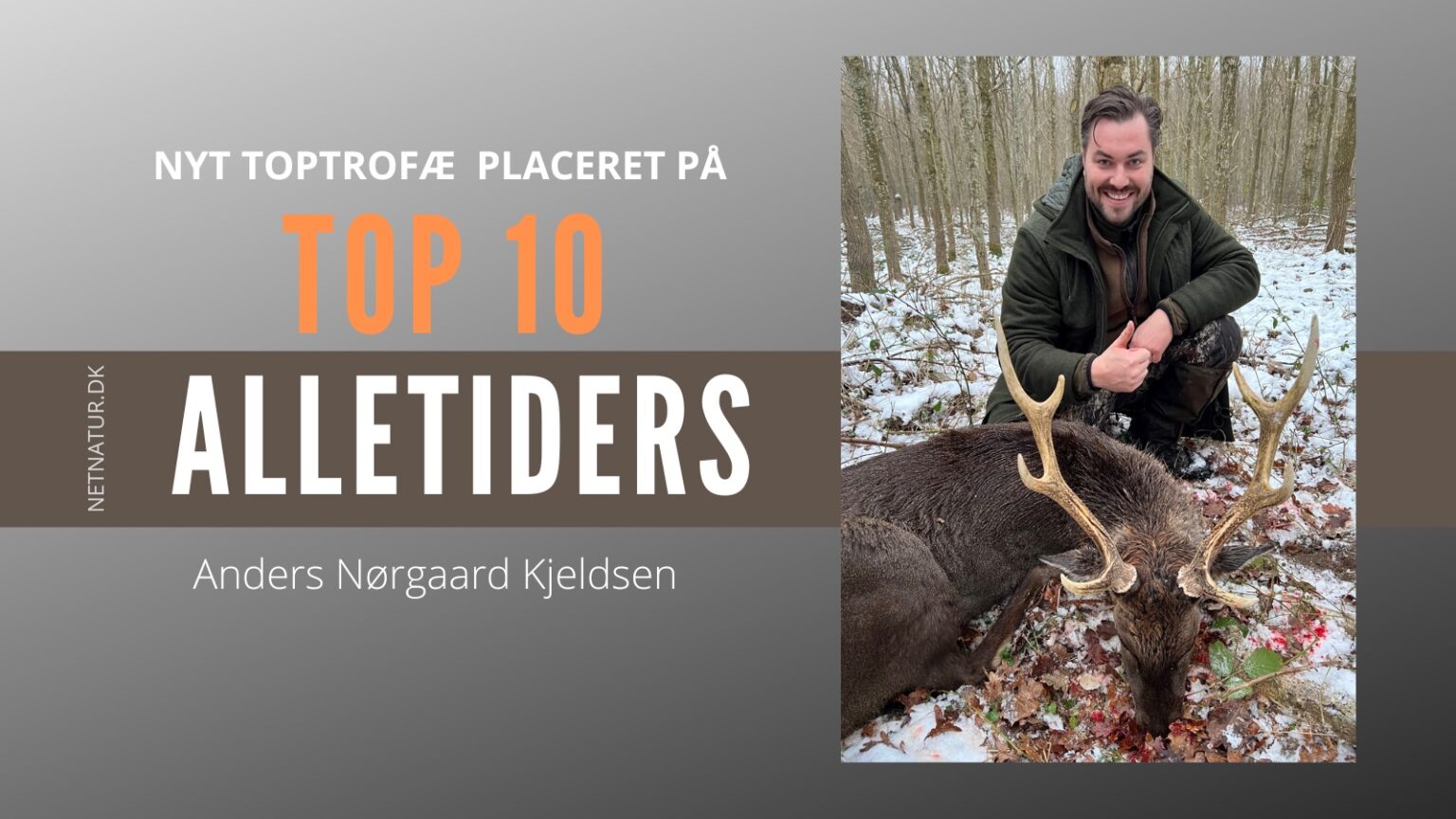 TOP 10 SIKA