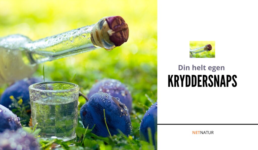 opskrift kryddersnaps