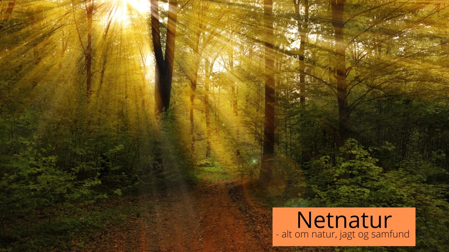 Natur i Danmark – hvor meget er der?