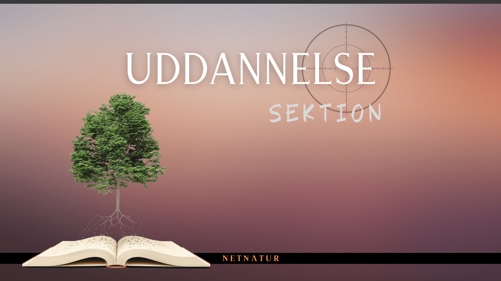 uddannelse