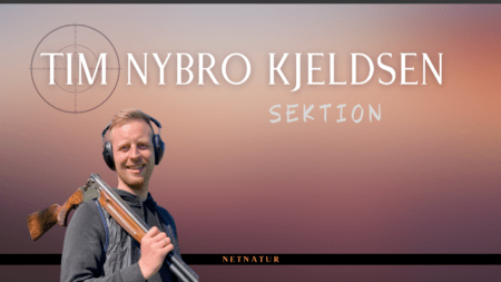Tim Nybro Kjeldsen