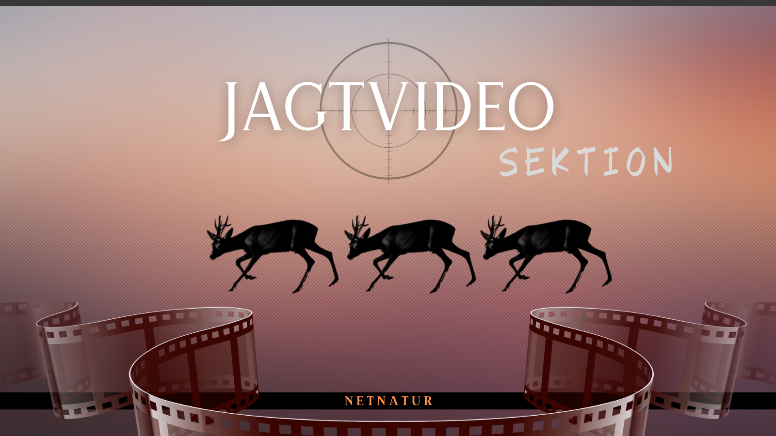 jagtfilm