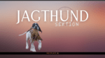 Jagthund