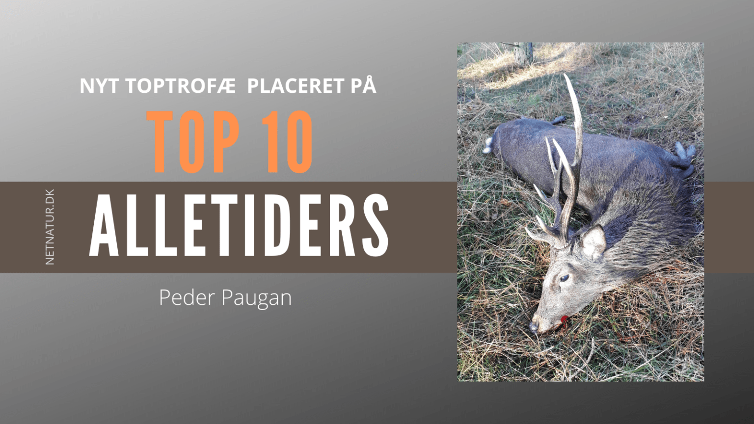Sika i top 3 på TOP 10