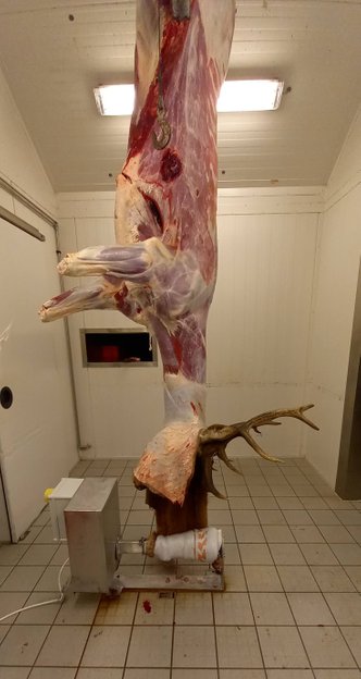 Forbedret hygiejne ved afskindning !Når man afskinder, så ruller skindet af dyret med hårsiden mod hinanden, således der ikke sidder hår på den afskindet slagtekrop. Ved afskindning har man minimal berøring af slagtekroppen.