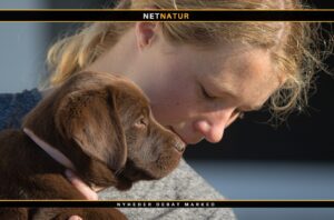 MEST POPULÆRE HUNDERACER I 2021 Hund og racer