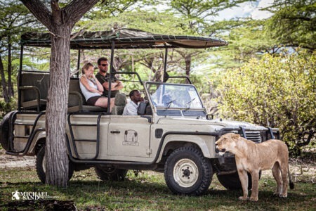 Statistikker over truede dyr – en alarmerende situation Arter og statistik