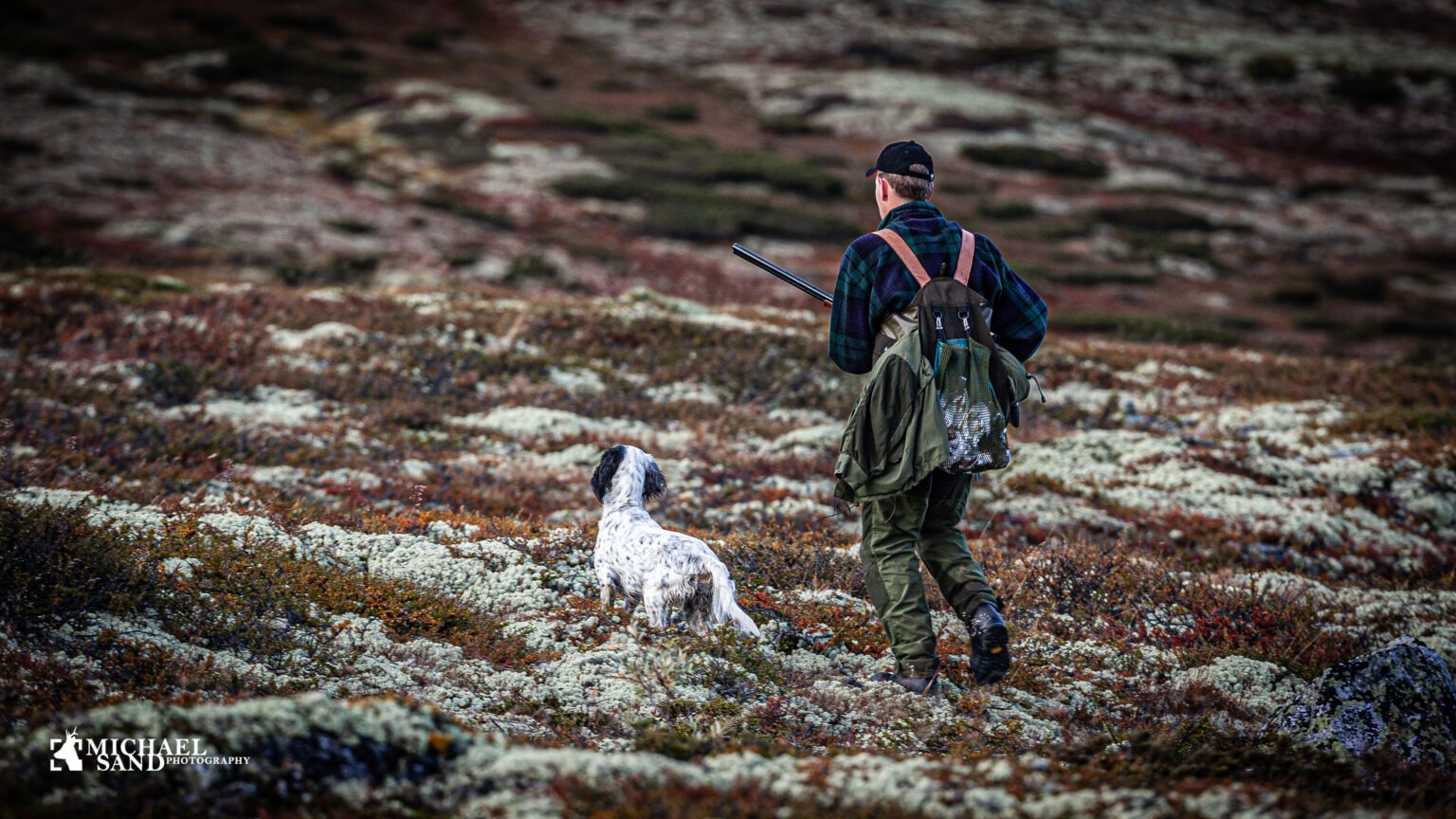 Norges måske bedste rypejagt udlejes Jagtudlejning: Rypejagt