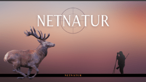 Sektioner på netnatur