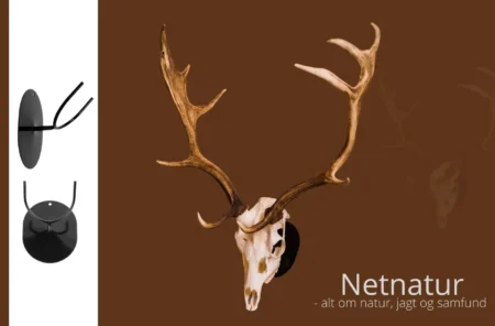 Trofæholdere Trofæholdere