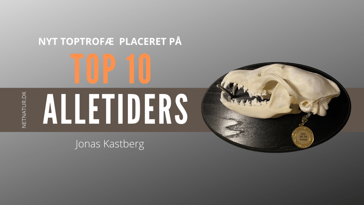 Guldræv på TOP 10 guldræv