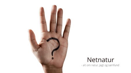 Hvem er Netnatur? Hvem er Netnatur