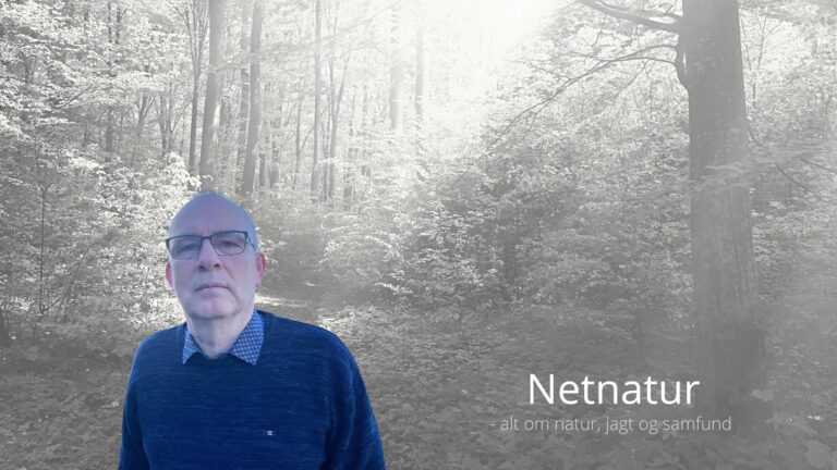 Peter Hoe Ejendomme