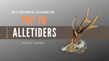 Buk fra Polen optaget på Top 10