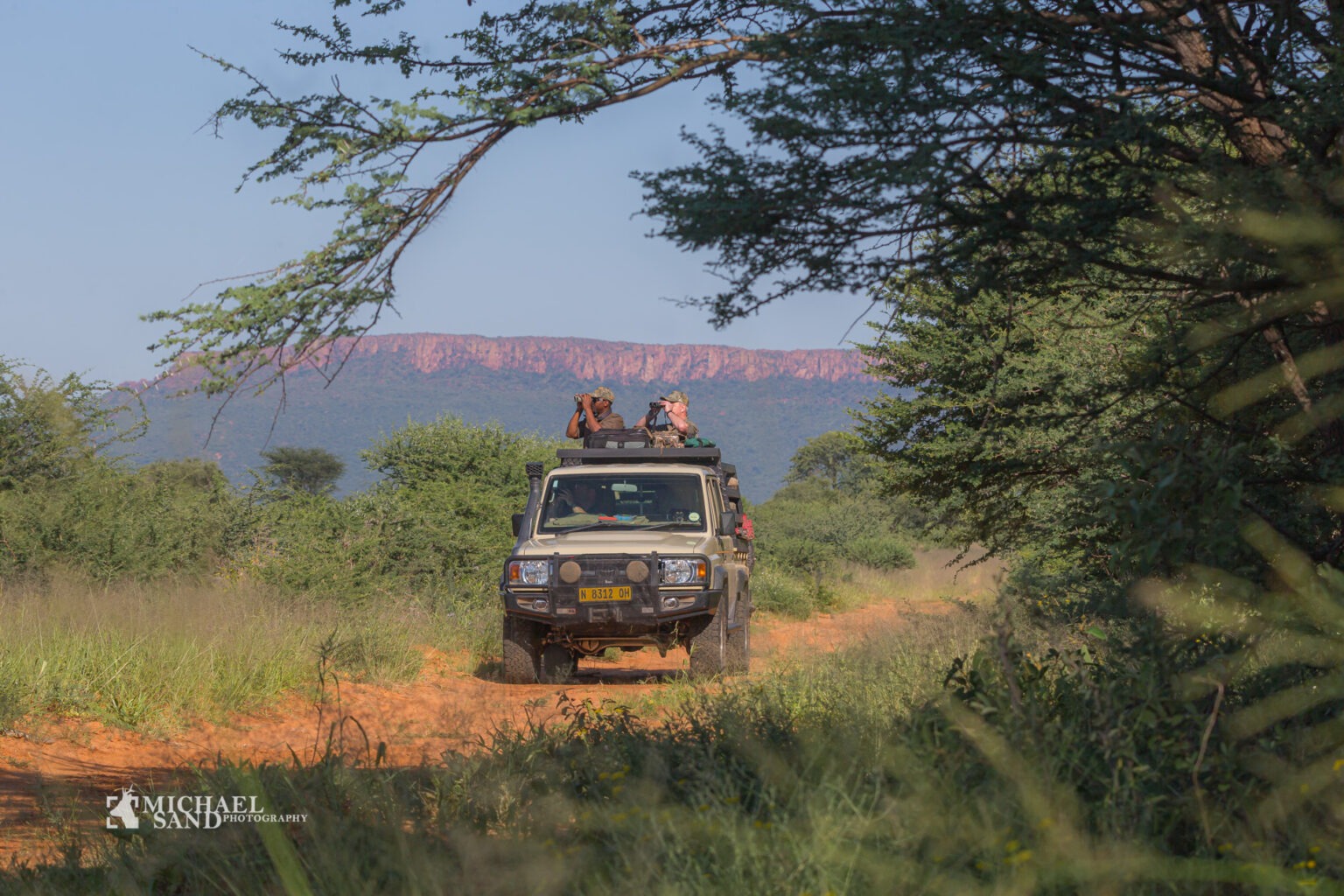 En meget smuk Springbok spottet under jagten, men jægeren, som jeg fulgte under jagten, havde allerede "tjekket ud" på den smukke antilope.