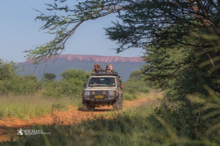 En meget smuk Springbok spottet under jagten, men jægeren, som jeg fulgte under jagten, havde allerede "tjekket ud" på den smukke antilope.