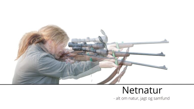 Bukkeleksikon: Bukkefeber Bukkeleksikon: Bukkefeber