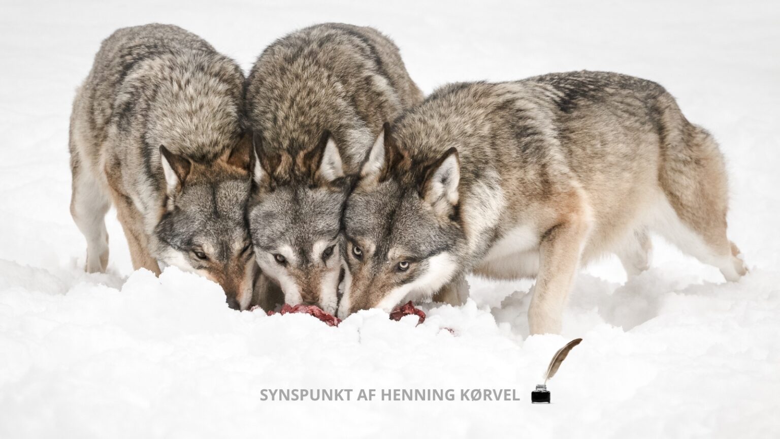 Nej til stokkemetoder