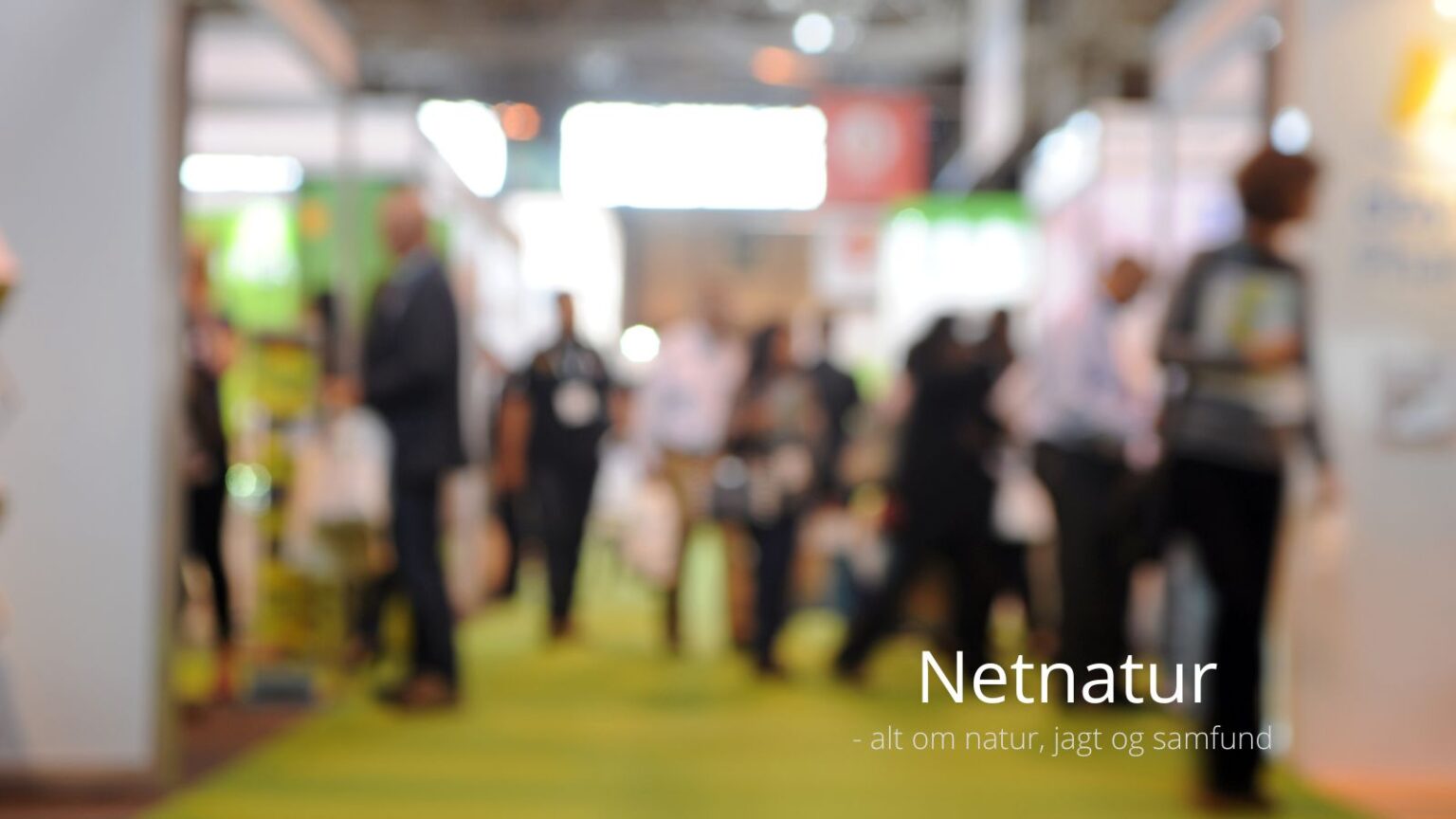 Outdoormesse i Vesthimmerland satte ny besøgsrekord