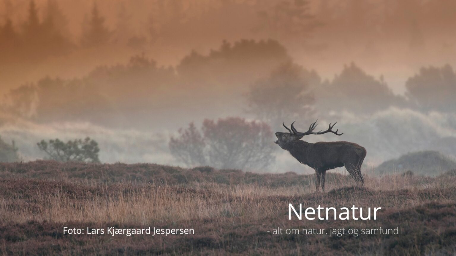 En naturskøn fotoudstilling