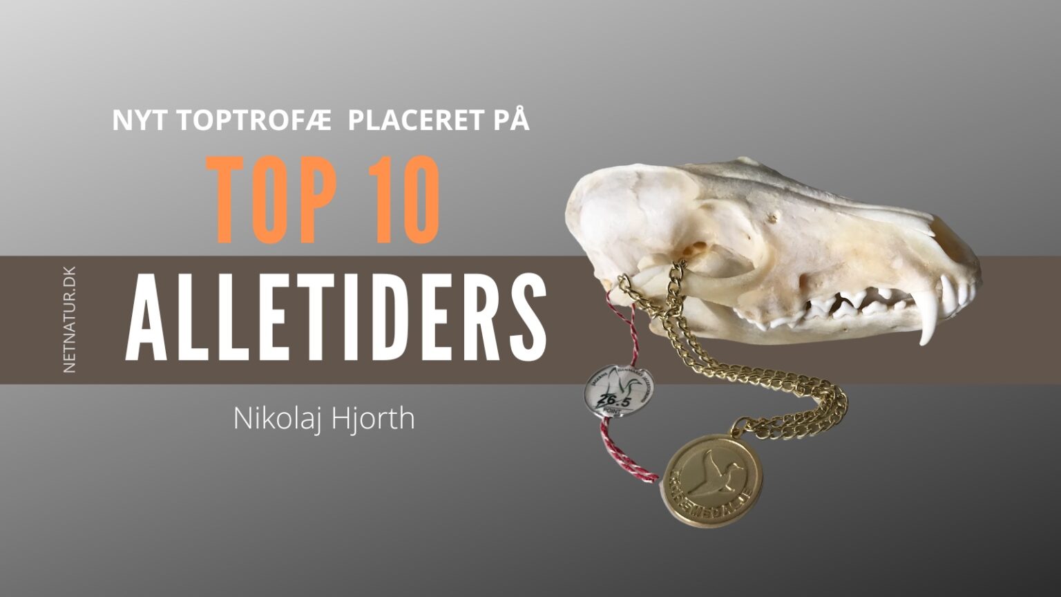 Guldræv på Top 10 Alletiders TOP 10 ræv
