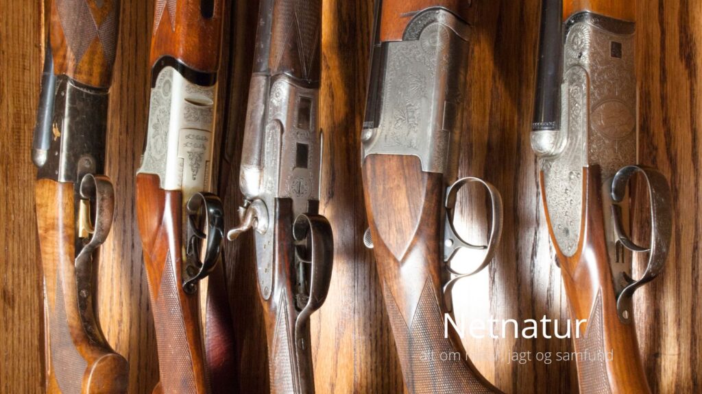 Skandaløs våbenkontrol Frederikssundsagen