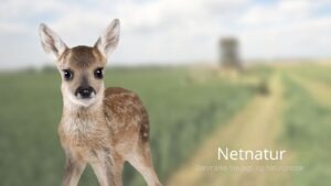 Red rålammene fra høstmaskinen med en brandalarm