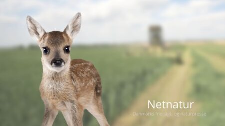 Red rålammene fra høstmaskinen med en brandalarm