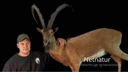 Nordjysk Trofæmontering etablerer “drømmehus for jægere” Nordjysk Trofæmontering udvider ejerkreds og flytter i nye lokaler