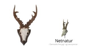 Fyret DJ-ansat passer CIC-job uden løn