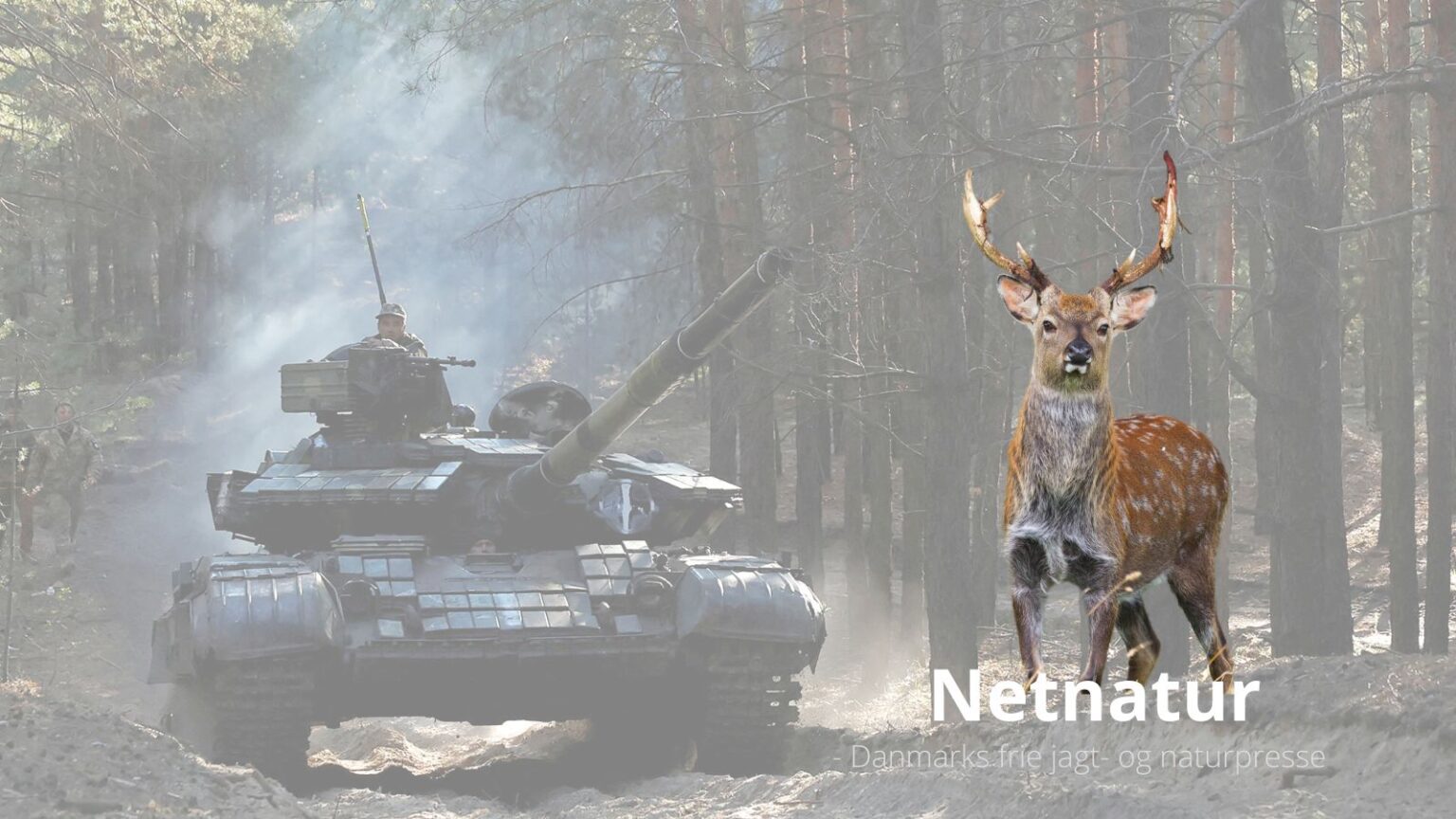 Krigen i Ukraine ødelægger økosystemet Krigen i Ukraine ødelægger økosystemet