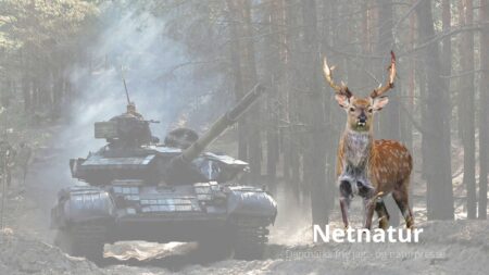 Krigen i Ukraine ødelægger økosystemet Krigen i Ukraine ødelægger økosystemet