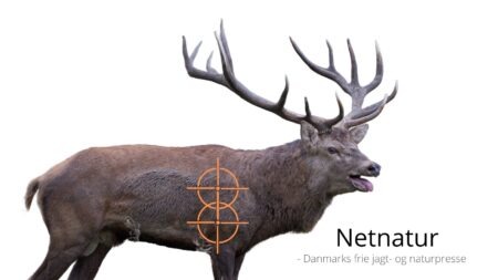 Dyreetik: Hvor på bladet bør man skyde?