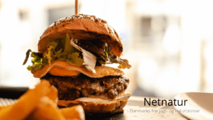 Vildtkød hitter på sundhed og smag