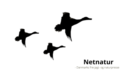 DOF: Stop for andeudsætning er en stor sejr