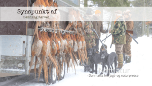 Glem jagt til husbehov