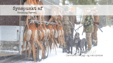 Glem jagt til husbehov