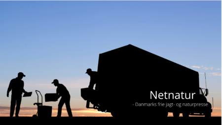 Flyttefirma Aalborg Flyttefirma Aalborg