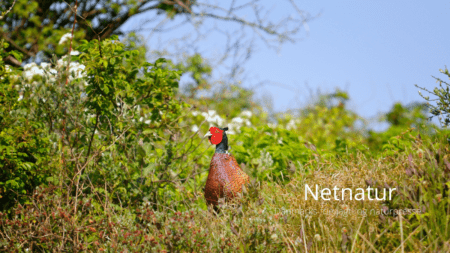 Læserbrev: Serviceniveauet hos Miljøministeriet er "simpelhen til grin"