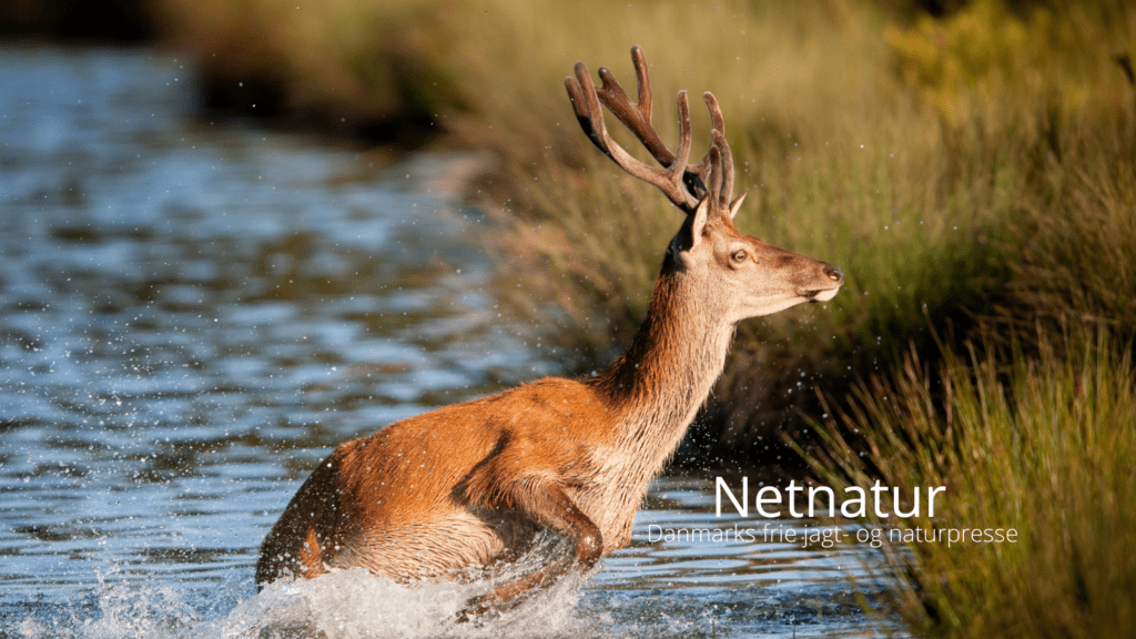 Arealkravet er dumpet for tredje gang