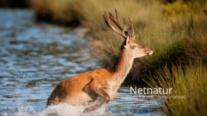 Arealkravet er dumpet for tredje gang
