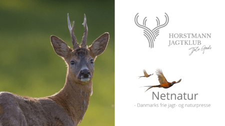 Horstmann Jagtklub – et helt nyt setup Horstmann Jagtklub