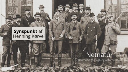 Lad nu fasanudsætning og fasanjagt få fred