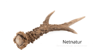 Jægernes Naturfond - hvad sker i fremtiden?