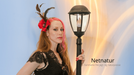 Kvinder: Brug ikke vilde fugles fjer til pynt Kvinder: Brug ikke vilde fugles fjer til pynt