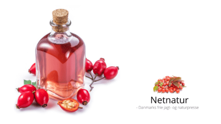 Lav din egen klitrosesnaps